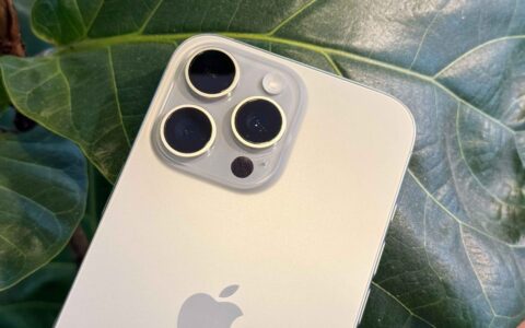 iPhone 16 微距摄影使用攻略：拍摄技巧、设定与控制方式教程，欣赏超惊艳微小世界