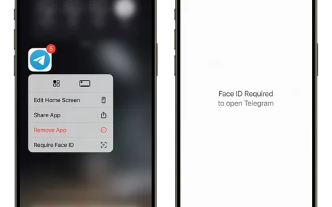 iOS 18 让 iPhone App 能够单独上锁、隐藏，通过 Face ID 才能解锁