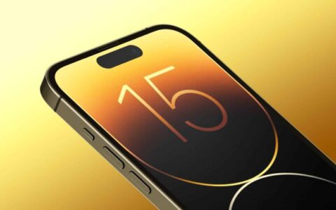 怎么样更改 iPhone 界面大小？