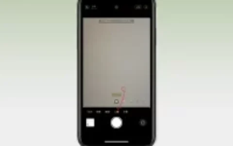 摄影小技巧，iPhone制作模糊背景照片教学指南