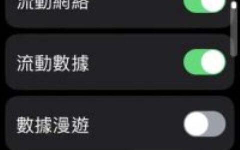 如何在 Apple Watch 上开启“数据漫游”？