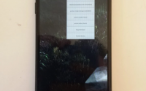 iPhone 6装Linux系统：透过checkra1n越狱跑postmarketOS