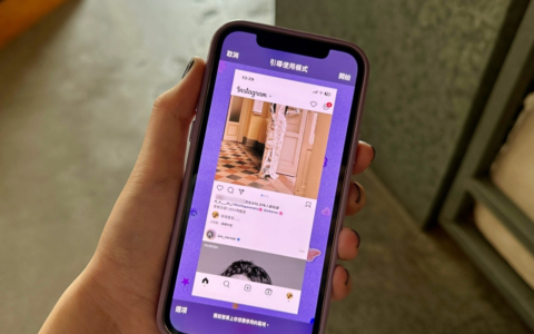 借别人滑 iPhone 但怕被乱看讯息？ 教你用引导模式 让他怎么滑都只能留在原地