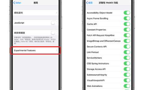 Safari 很慢很卡？ 开启 iOS 11 的隐藏功能加快 Safari 上网速度！