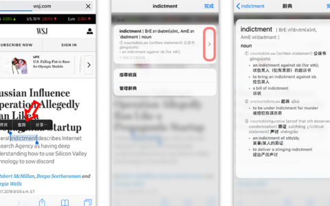 iOS 内置辞典，在 Spotlight、Safari 里直接查询单词意思
