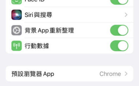 iPhone 允许从其他App贴上方法教学