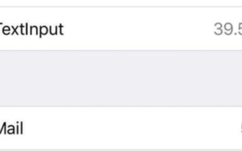 iCloud里的TextInput是什么？ 会占据 iPhone 空间吗？