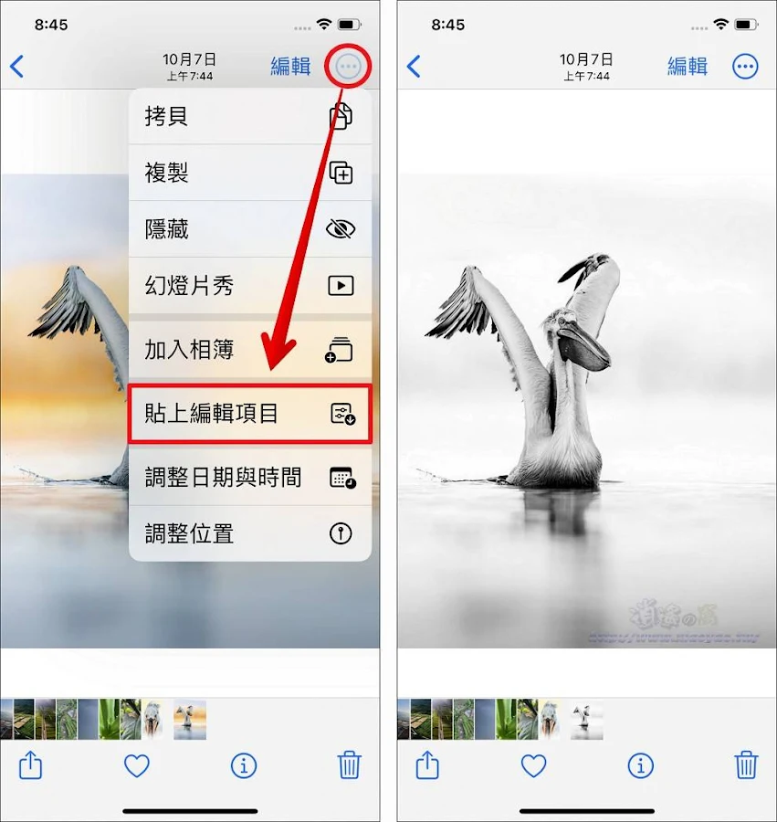 iPhone 编辑照片影片可批量调整色彩、应用滤镜