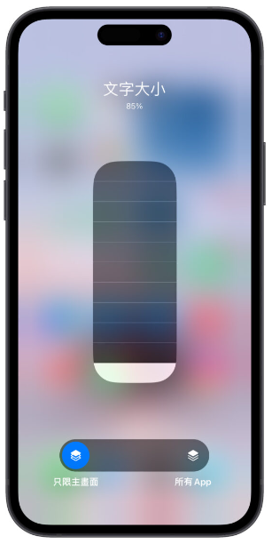 iPhone 字体大小设置隐藏技巧，一键调整特定App、画面的字体大小 第7张