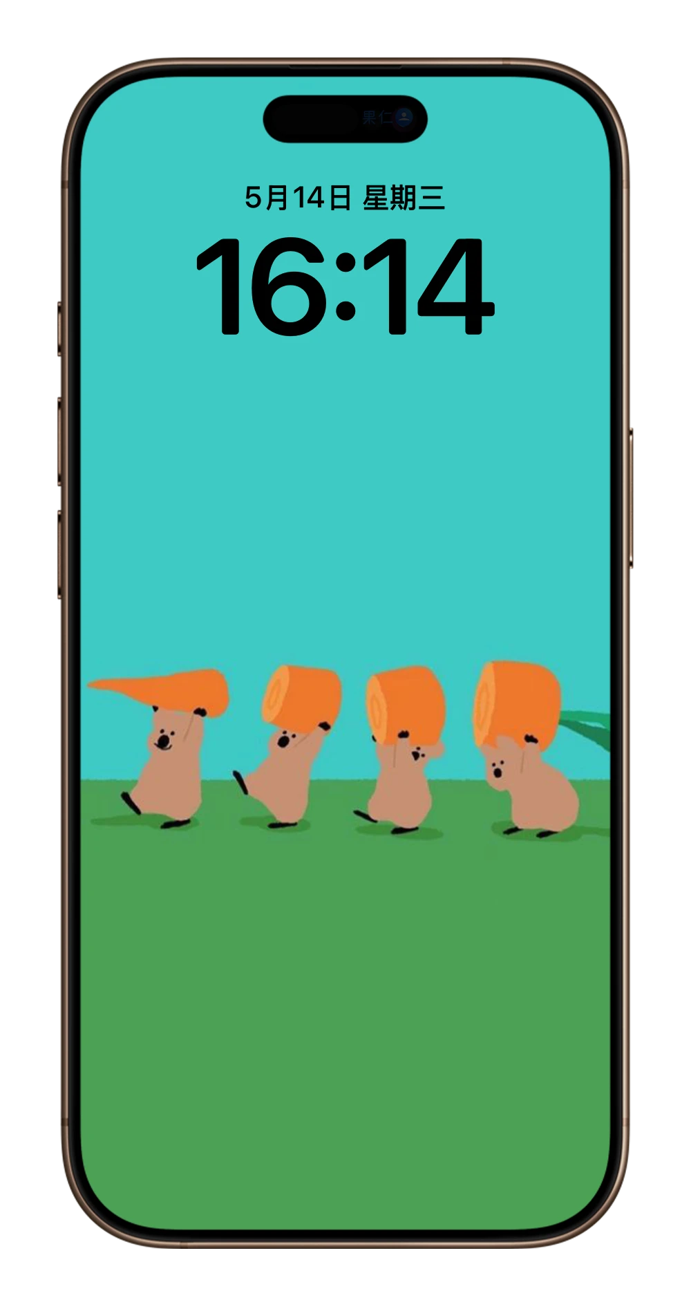 Dinotaeng iPhone 壁纸