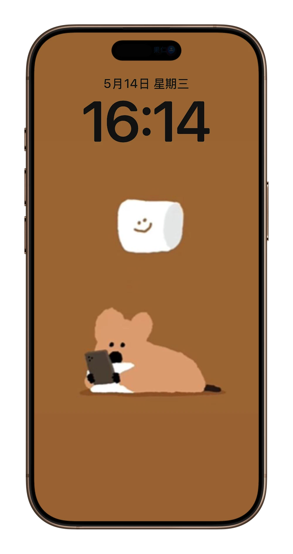 Dinotaeng iPhone 壁纸